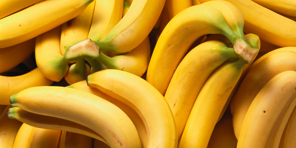 Banano de Exportación
