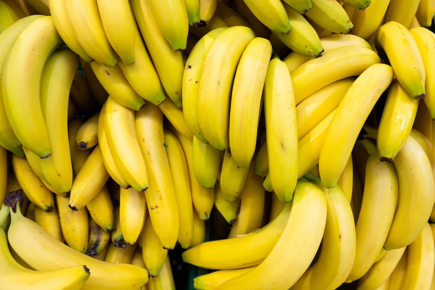 Banano Orgánico